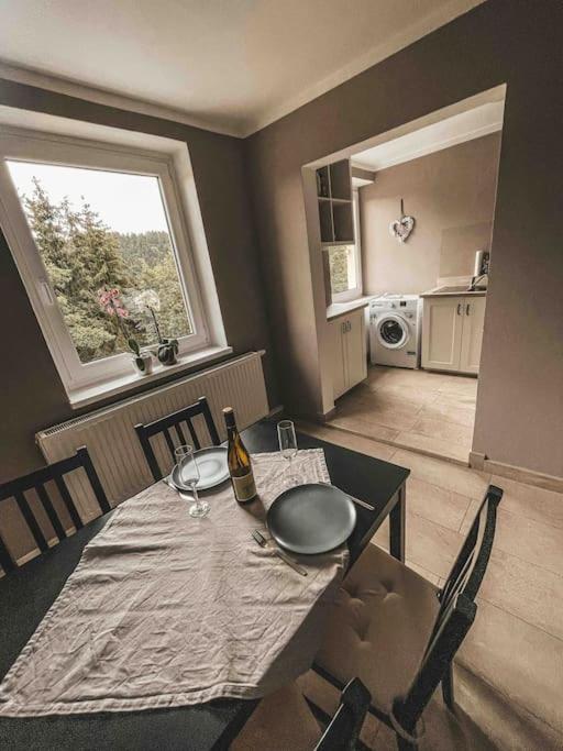 Franzis Feriendomizil Im Herzgebirge Am Skihang Auerbach  Εξωτερικό φωτογραφία